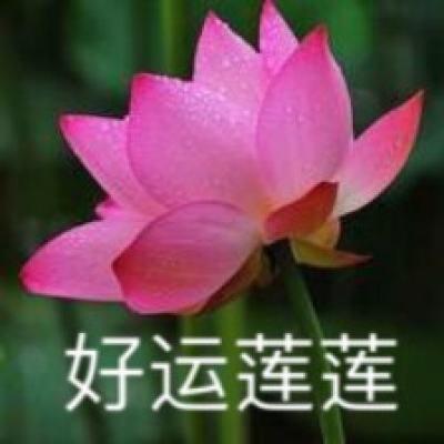 fluvsies手游下载